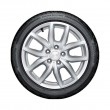 Bridgestone DDrive Guard